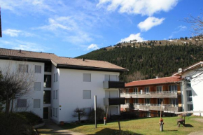Ferienwohnung Bachmann